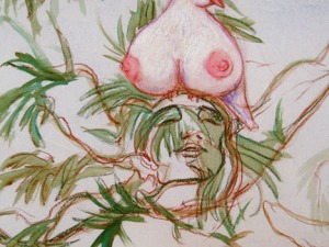 PfaueninselDetail01Teichert2014_625px