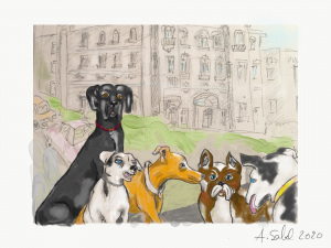 56E8832F-B9FA-4BB6-BFAE-C3F716F92BE5