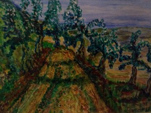 Mulatierie durch Olivenhain