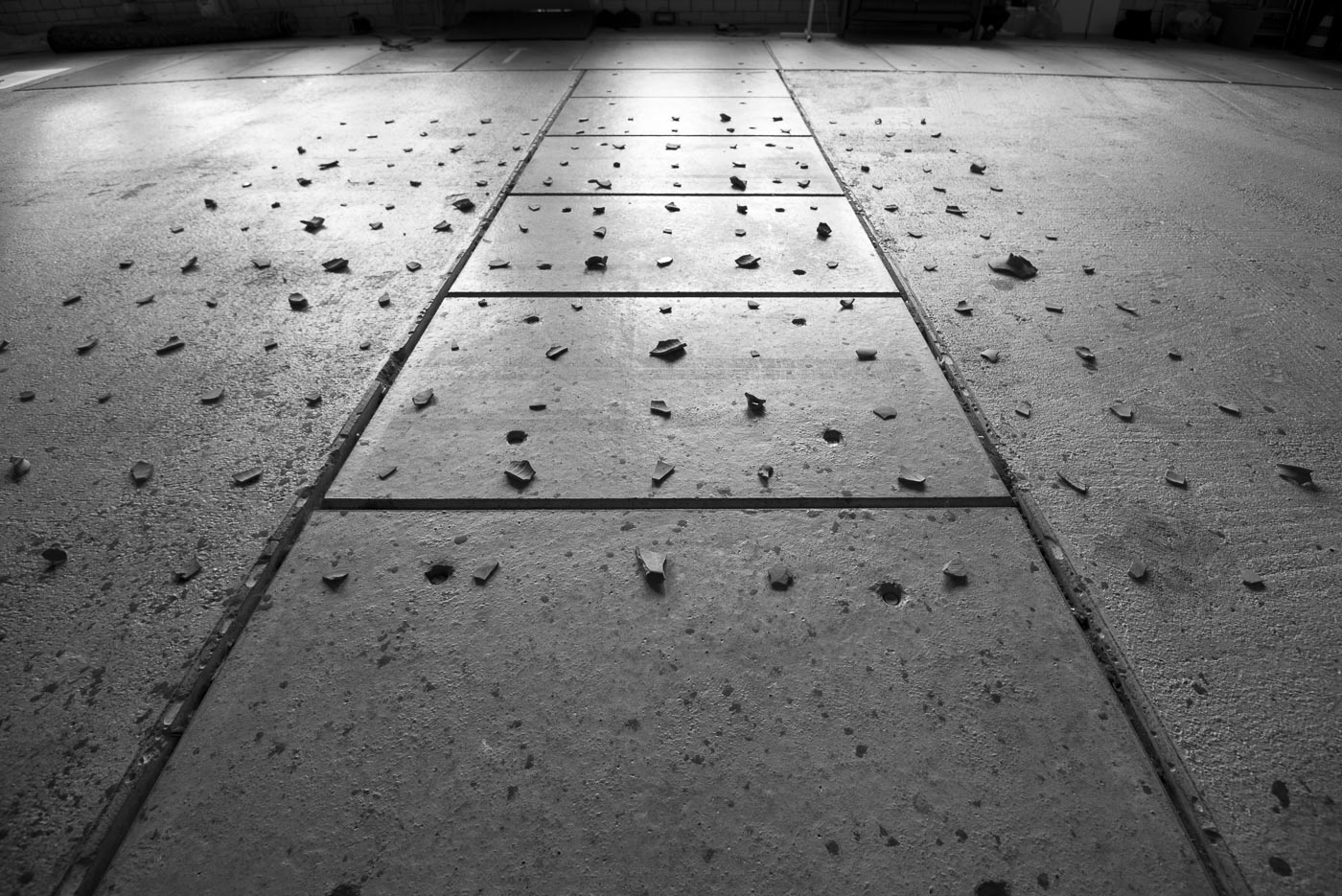 Ein ganz normaler Herbst, nur anders..2020- Projekt KVFM- Jörg Ahrnt- Tag 24