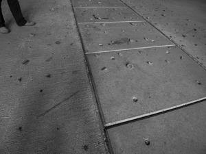 Ein ganz normaler Herbst, nur anders..2020- Projekt KVFM- Jörg Ahrnt- Tag 24