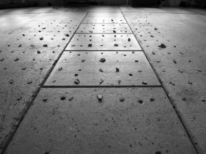 Ein ganz normaler Herbst, nur anders..2020- Projekt KVFM- Jörg Ahrnt- Tag 24