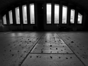 Ein ganz normaler Herbst, nur anders..2020- Projekt KVFM- Jörg Ahrnt- Tag 24