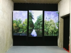 aley-pics-montez-19-3er-kinzig