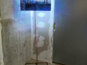 aley-pics-montez-19-camberger