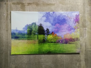 aley-pics-montez-19-grasellenbach-leinwand