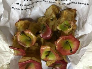 50218588_1750914371680874_3199110569428779008_o